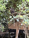 IMG_3460