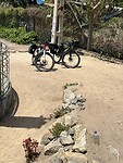 IMG_3470