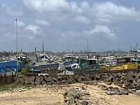 IMG_3469