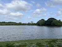 IMG_2544