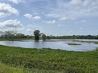 IMG_2545