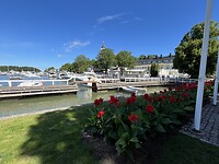IMG_4749