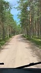 Bosweggetje