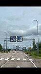 IMG_7517