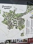 IMG_5784