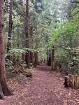 IMG_8114