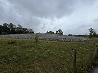 IMG_6133