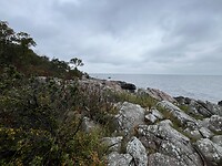 IMG_6137