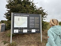 IMG_6151