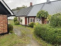 IMG_6156