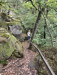 IMG_6234