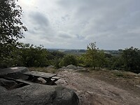 IMG_6233