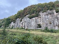 IMG_6232