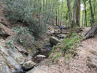 IMG_8224