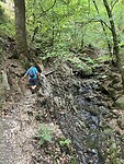 IMG_8225