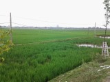 onderweg