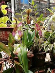 IMG_20191002_101314