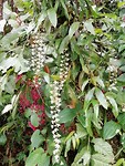 IMG_20191002_120207
