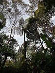 IMG_20191002_093814