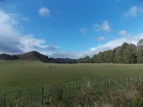 landschap