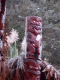 maori huis