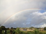 regenboog