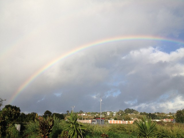 regenboog