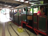trein coremandel