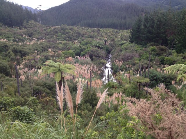 natuur