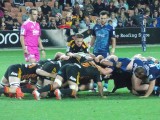 rugby