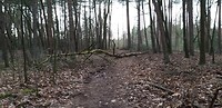 20200304_124044