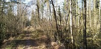 20200304_112123