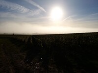 20210930_090624