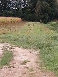 20211005_095434