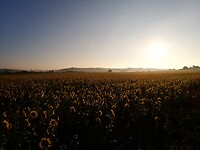 20211008_084430