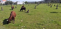 20250409_110808