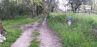 20250409_072444