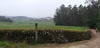 20250417_082152