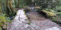 20250423_090603