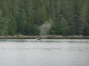 P1080876-550