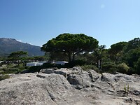 P1047764
