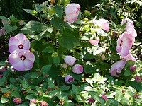 P1012778