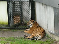 P1013352