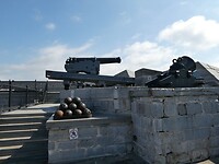 P1013782
