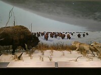 P1024960