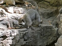 P1025763