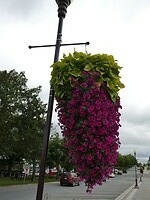 P1026685