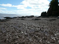 P1026851