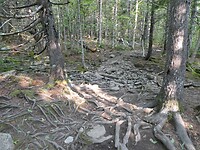 P1027050