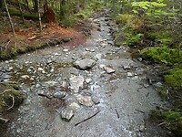 P1027062